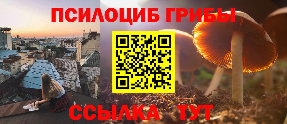 Лесной  Псилоцибиновые грибы Psilocybe  продажа наркотиков  Вход с VPN 